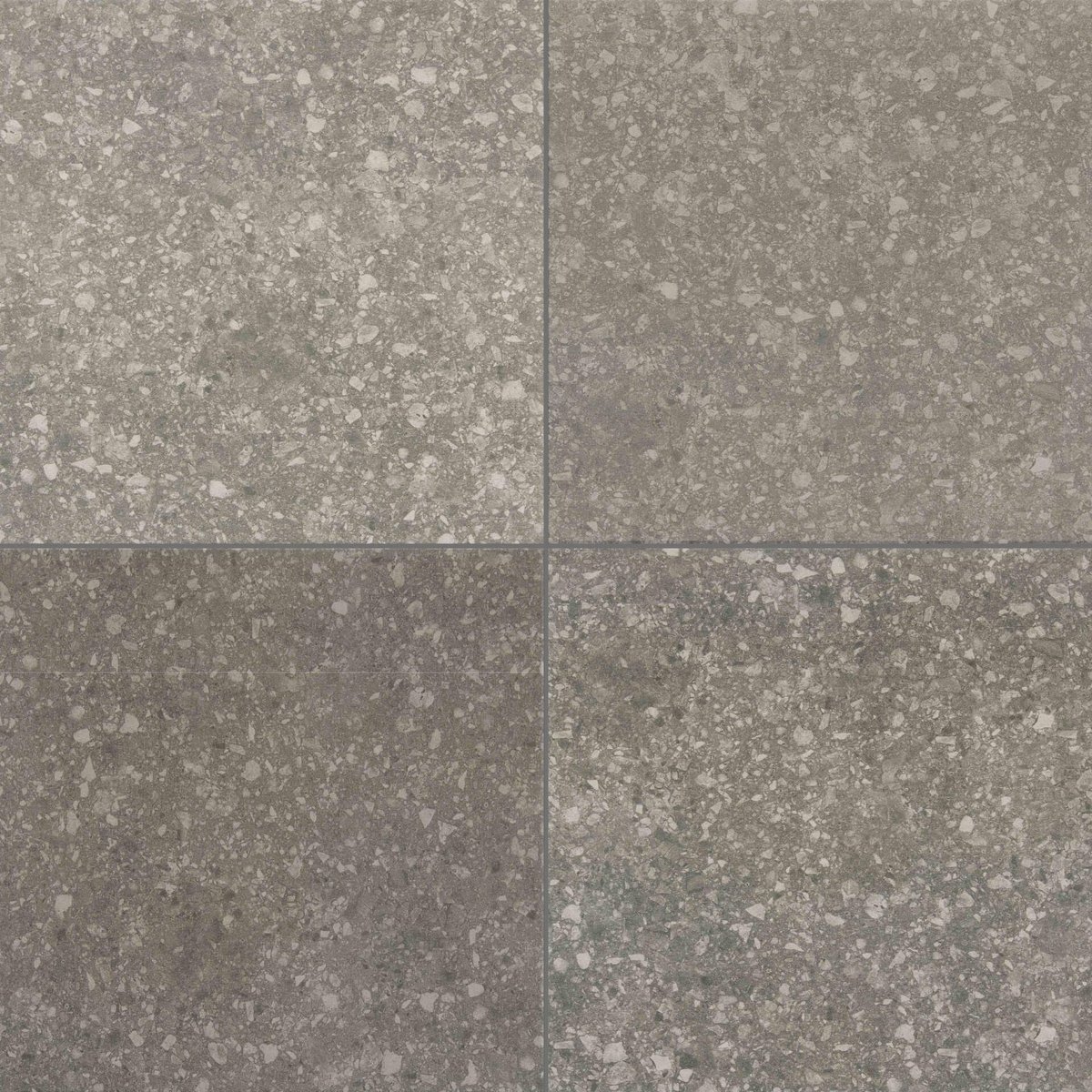 セロⅡ D43(限定在庫品)