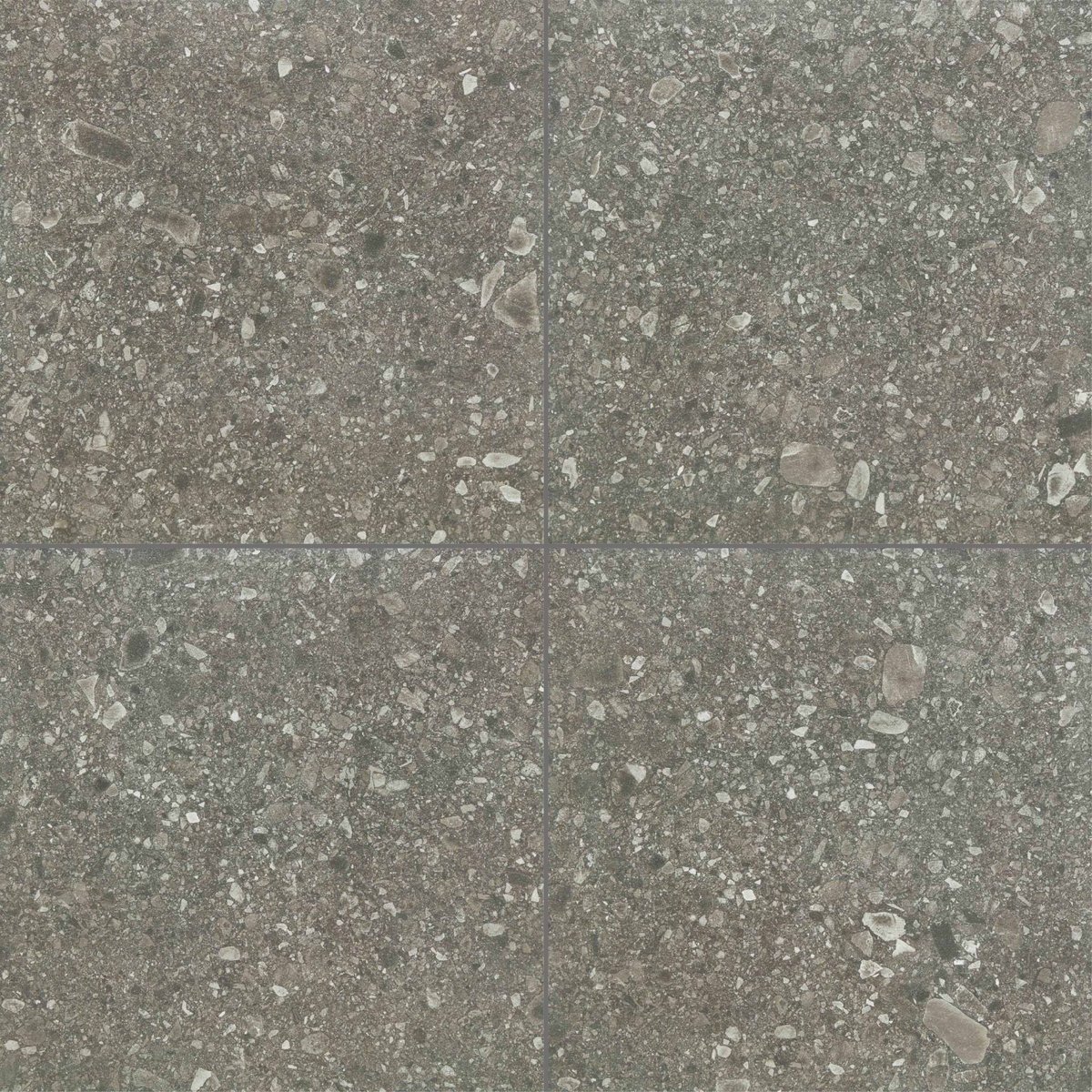 セロⅡ D46