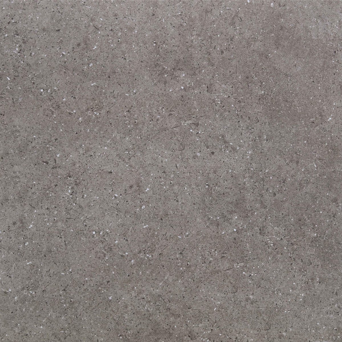 Gブレンダ D623