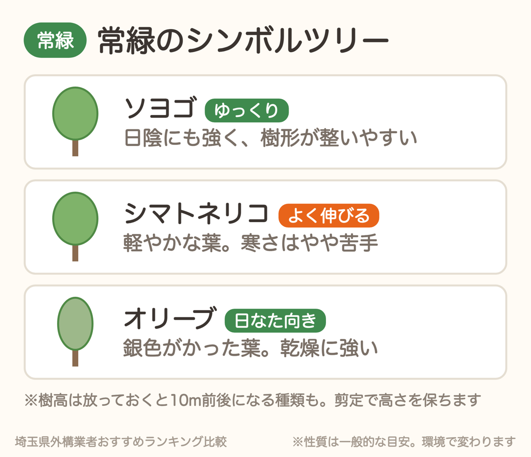 常緑のシンボルツリー。ソヨゴ、シマトネリコ、オリーブの特徴