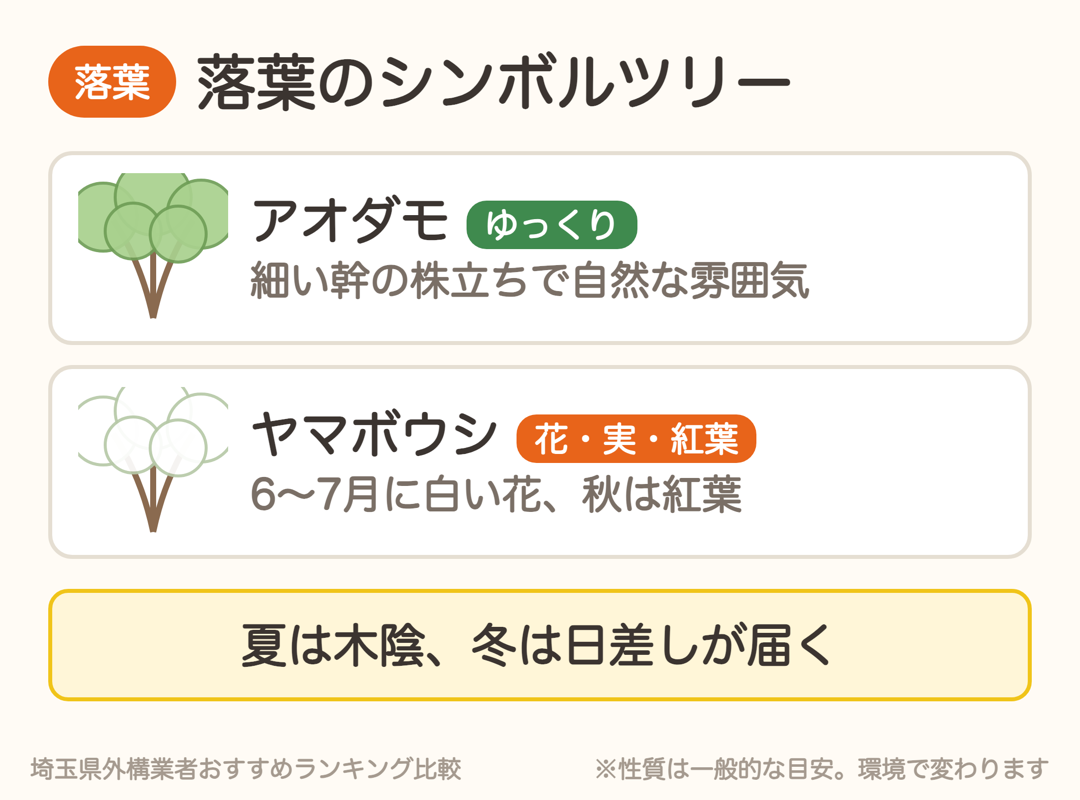 落葉のシンボルツリー。アオダモとヤマボウシの特徴
