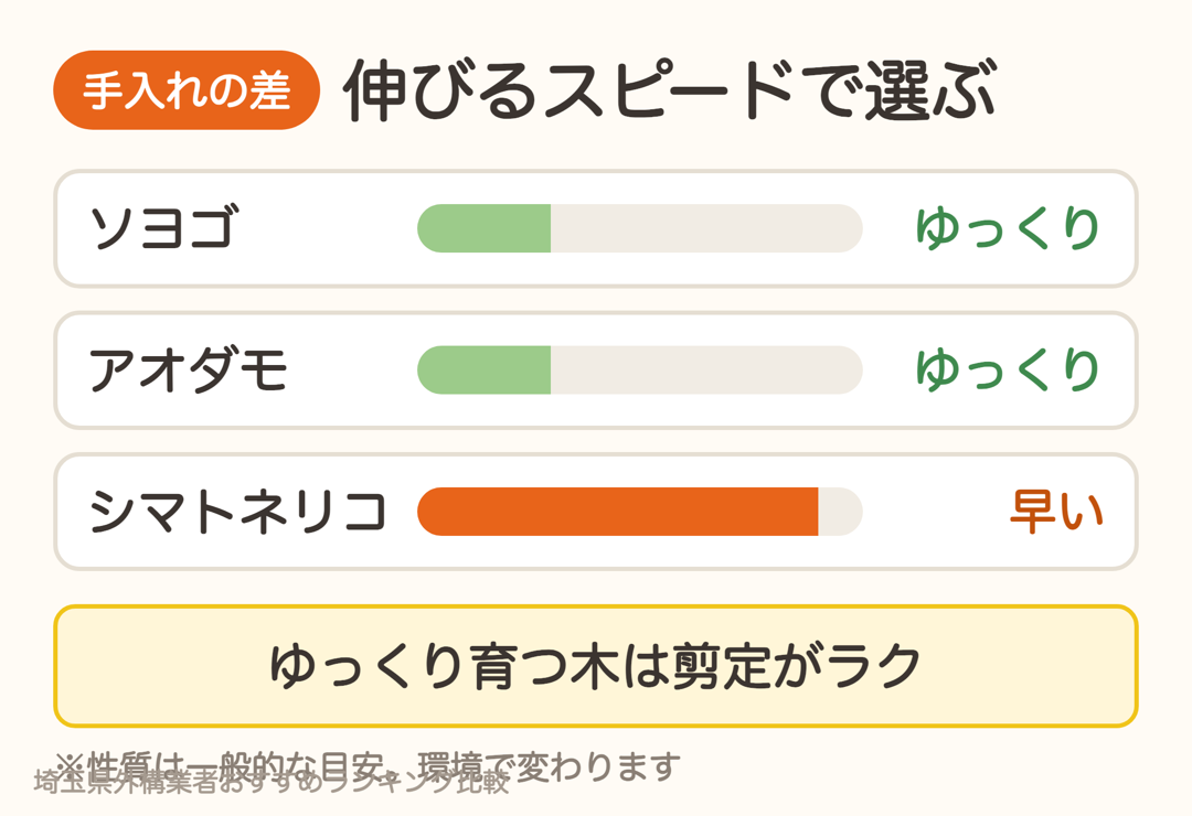 ソヨゴとアオダモは成長がゆっくり、シマトネリコは伸びるのが早い