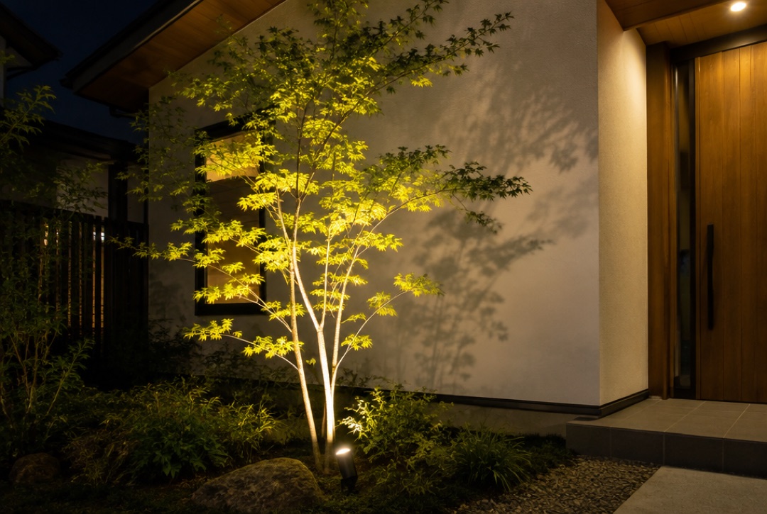 シンボルツリーを下からスポットライトで照らした夜の玄関まわり